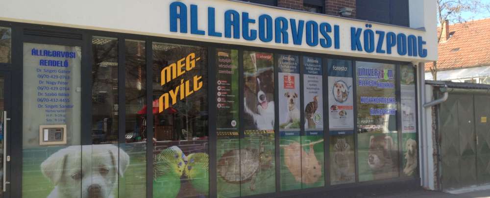 Hogyan dekoráljuk üzletünket?