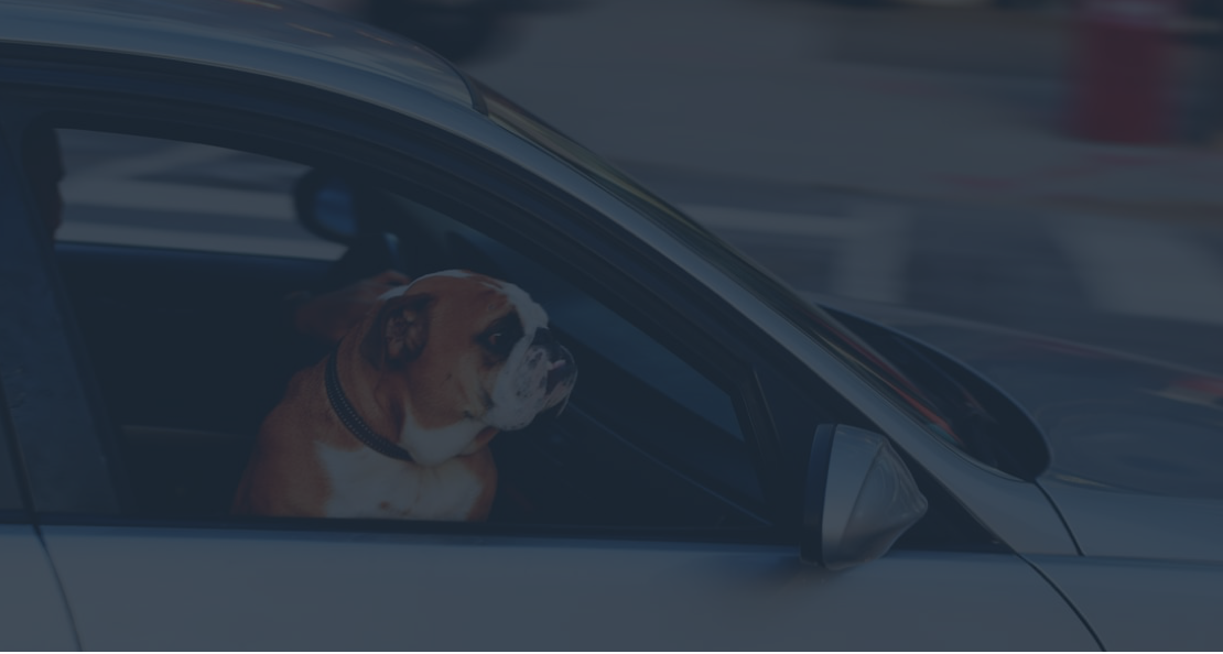 Megkönnyítjük a dolgát!