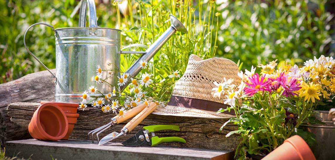Professzionális kertgondozás a megrendelők személyes igényei alapján
