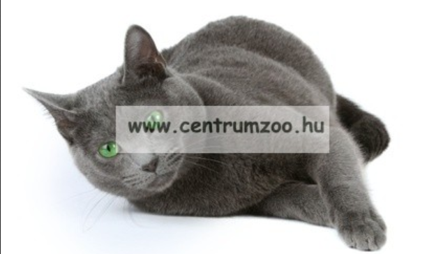 Kényelem a bársonytalpúnak is!