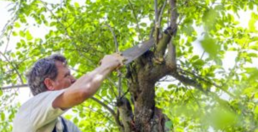 Ha veszélyessé vált, mi segítünk!