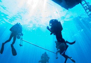 Tanuljon meg búvárkodni velünk!