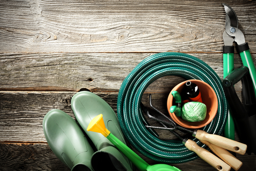 Mezőgazdasági termékek kedvező áron!