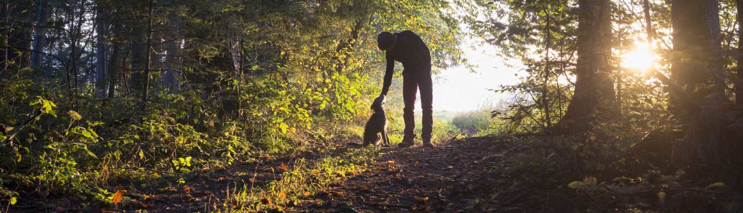 Adja meg a végső kegyeletet házi kedvencének!
