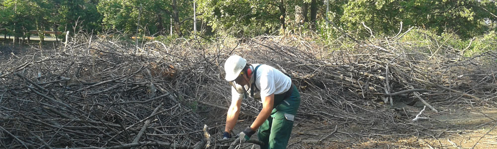 Miért végezze szakember?