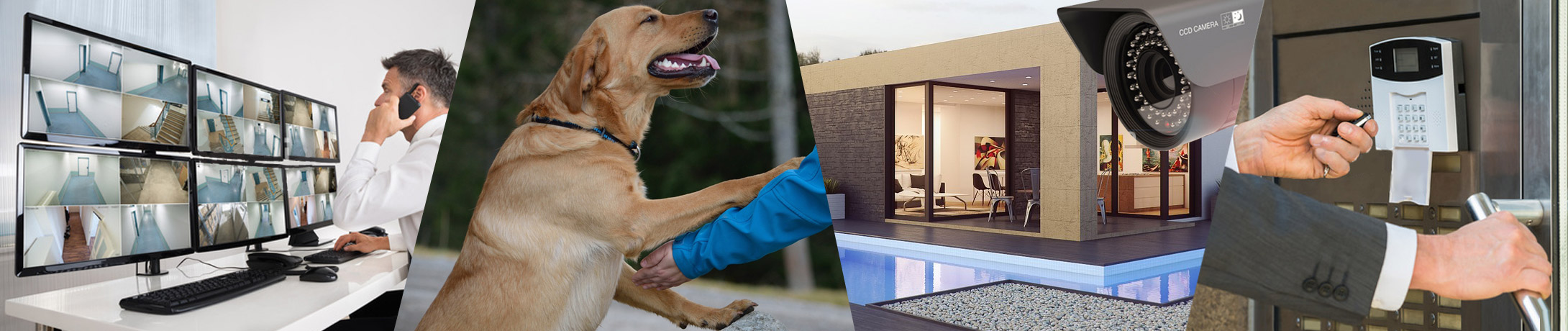 Professzionális videó távfelügyelet