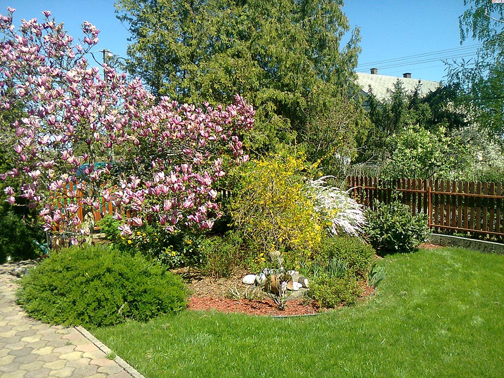 Profi kertészekre bízhatja a kertjét Ön is!