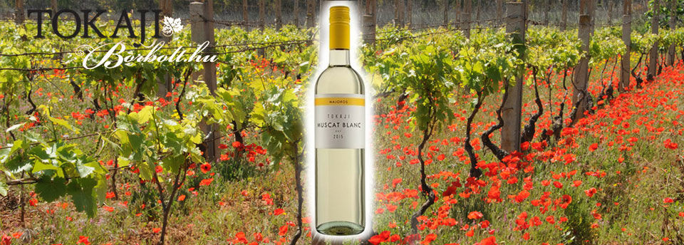 Ízletes és különleges tokaji borok