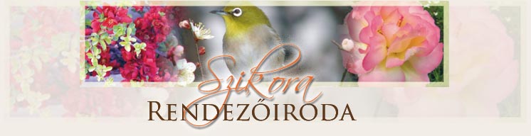 Műsorok gyerekeknek