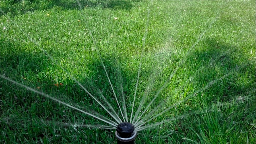 Sok ideje elmegy a locsolásra?