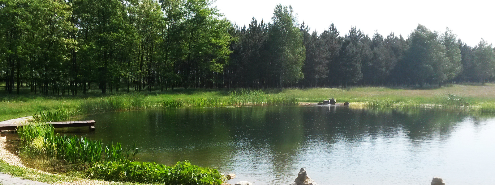 Mire alkalmazzuk a kerti tavakat?