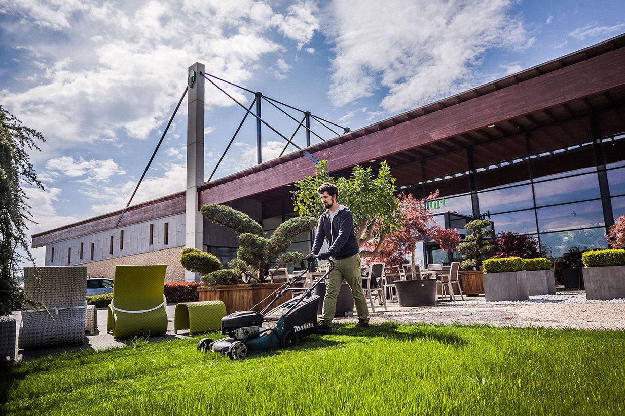 Park vagy zöldterasz építéséhez keres partnert?