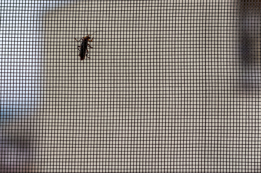 Védje otthonát a szúnyogoktól!