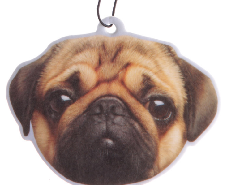 Egyedi kutyás kiegészítők