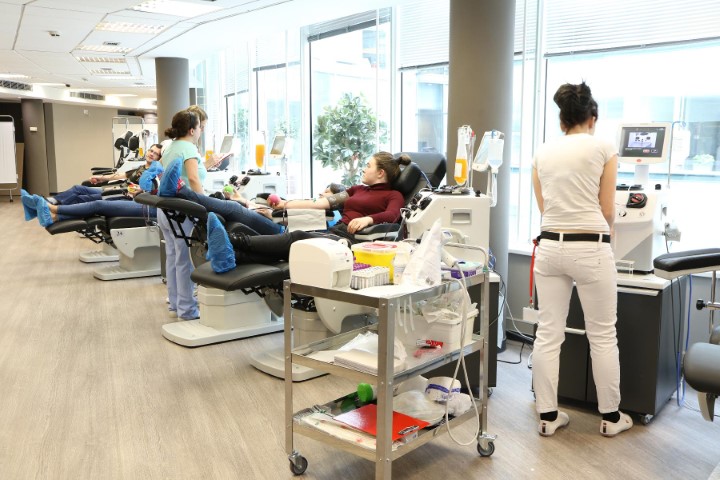 Az életmentő vérplazma