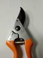 Szőlőjének ápolása fontos feladat