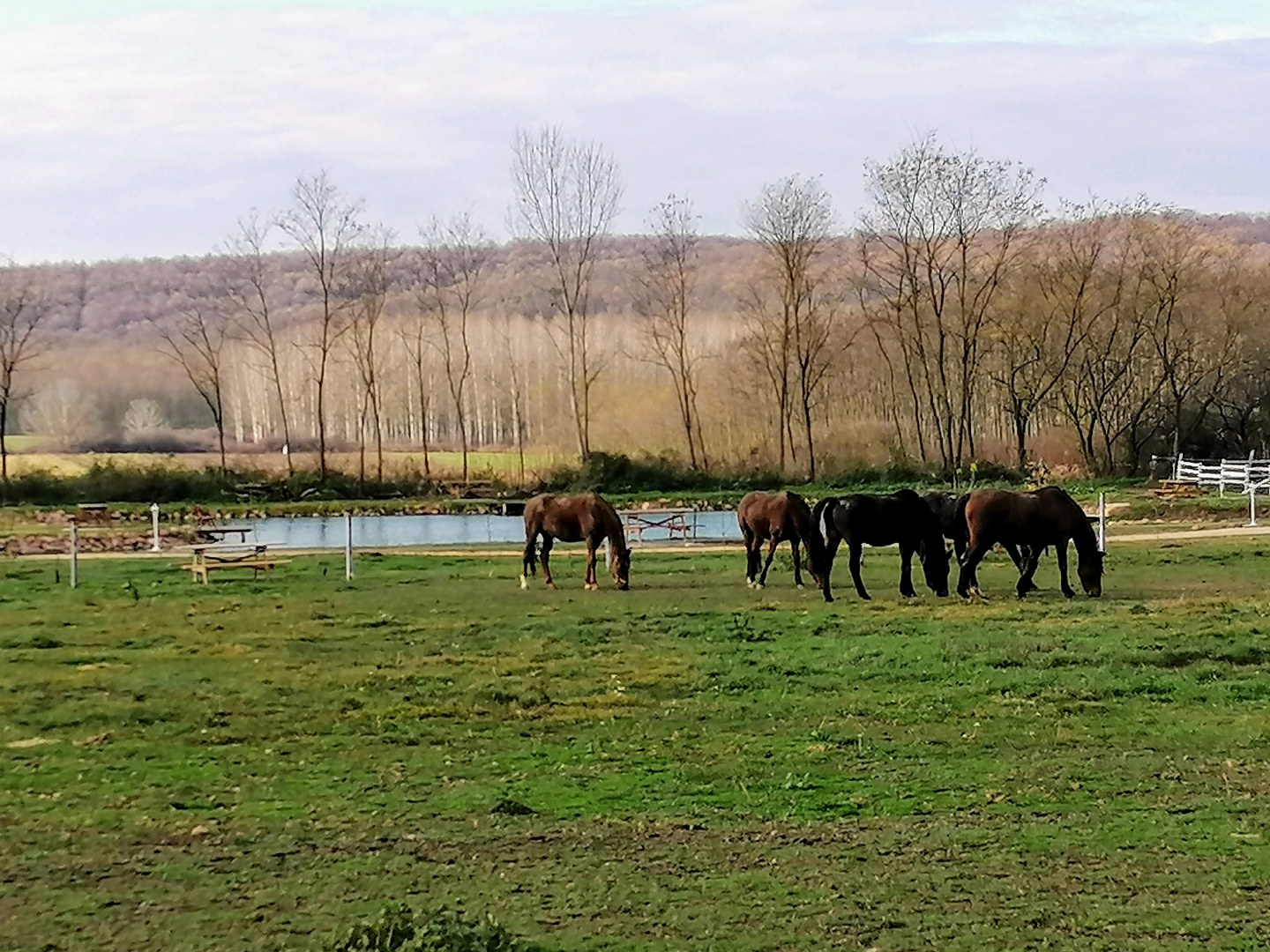 Látogassa meg győri panziónkat!
