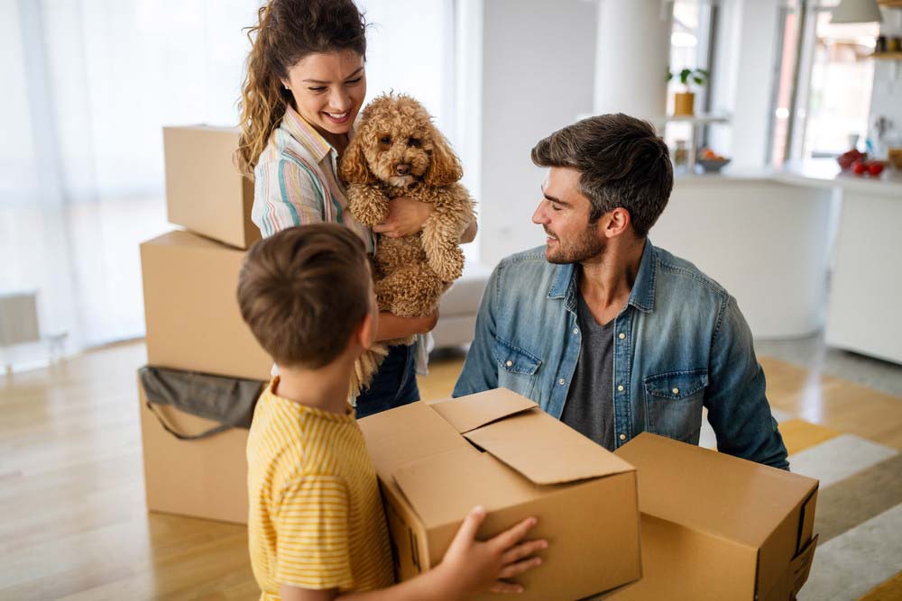 Otthonváltás gördülékenyen és nyugodtan – Bízza profikra a költöztetést!