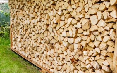 Tudatos tűzifavásárlás 2026 küszöbén – Hasznos tanácsok a beszerzéshez