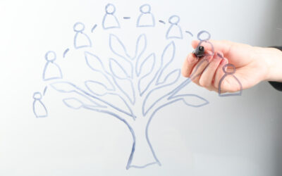 Múlt és jövőkép – Miért lett a genealógia a legnépszerűbb önismereti út?